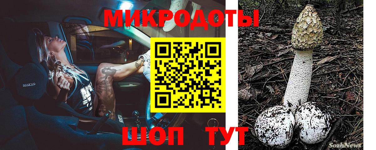 Галлюциногенные грибы мухоморы  Вход с VPN  Малгобек 