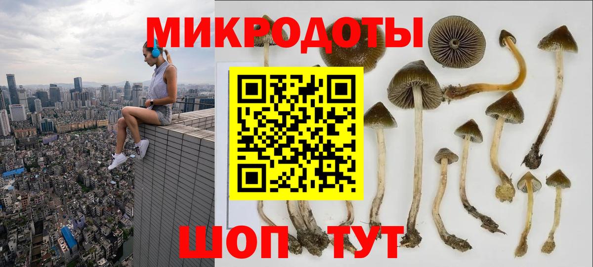 Псилоцибиновые грибы ЛСД Малгобек