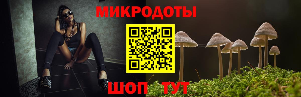 А ПВП Малгобек
